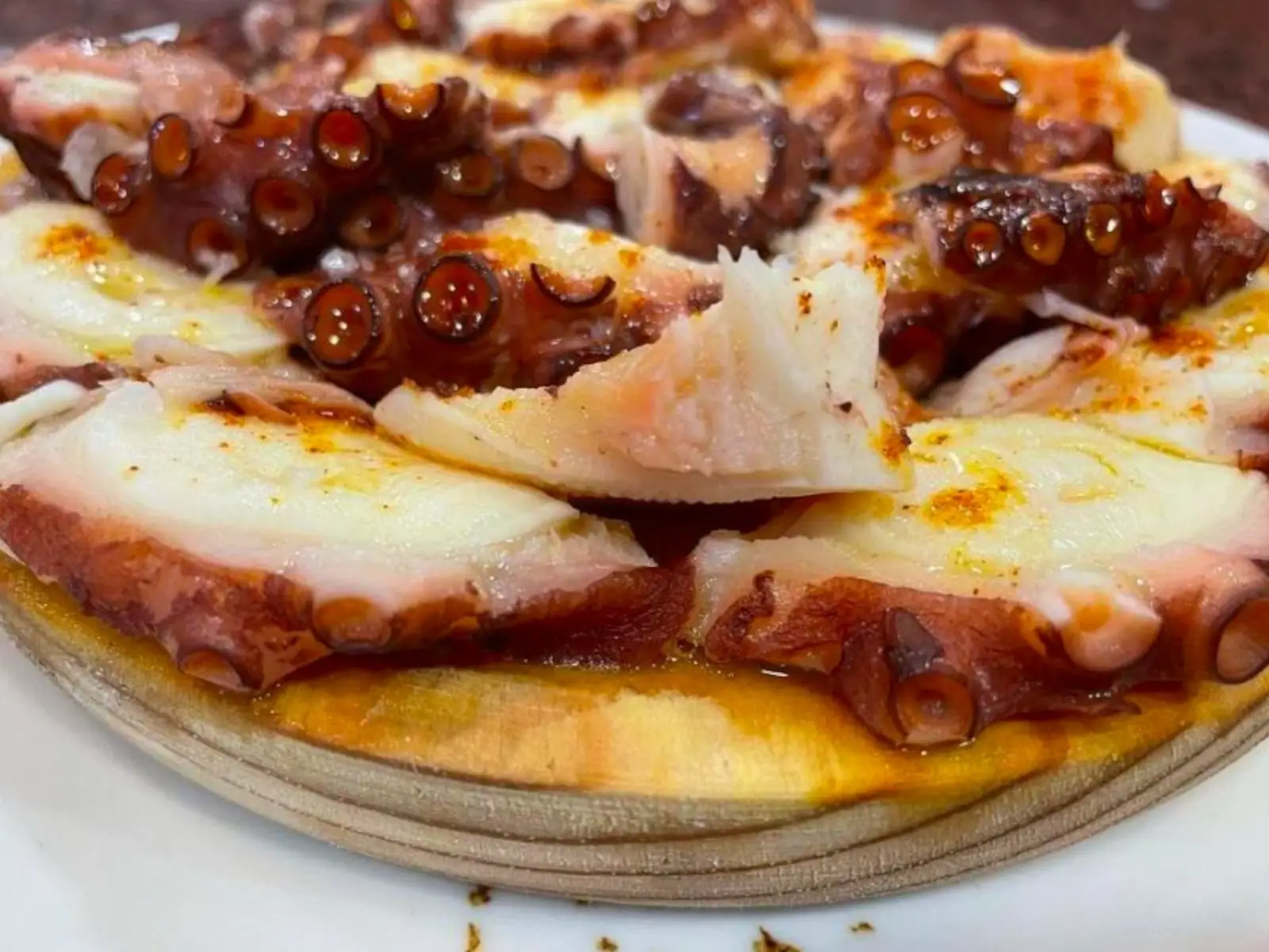 BH Plato Pulpo Ave Maria Bar